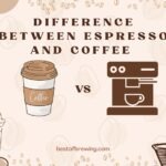Espresso vs Coffee: Learn The Differences And Similarities
